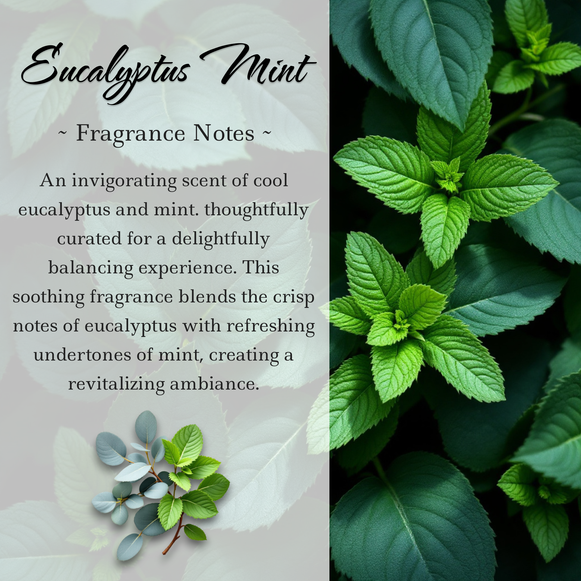 Root Chakra Crystal Candle, 10oz