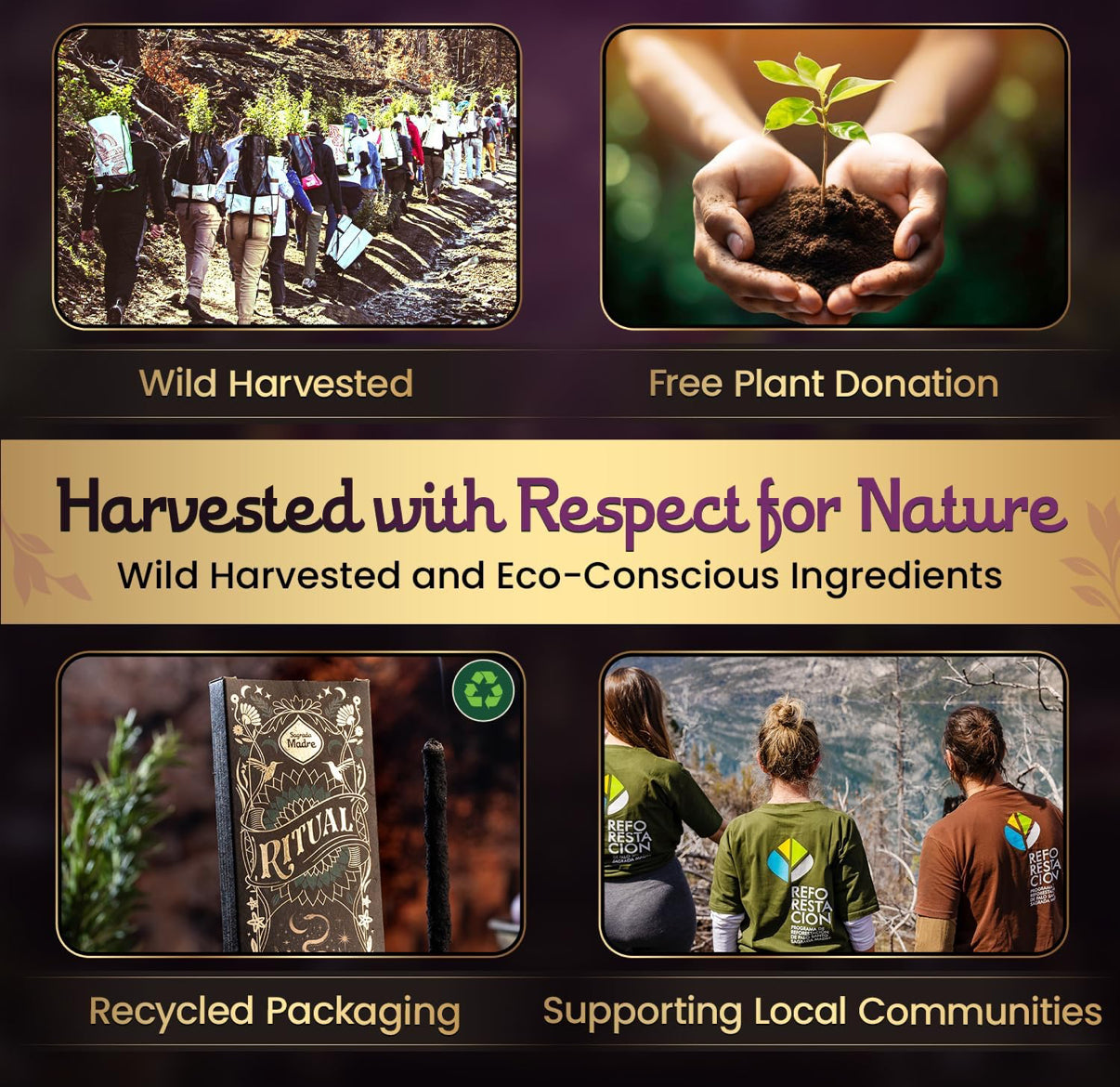 Lavender Palo Santo Incense