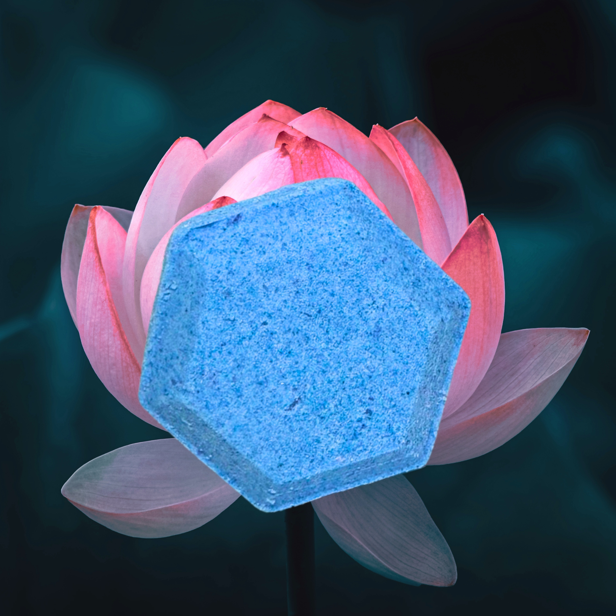 Lotus Flower Natural Aromatherapy Relaxing Shower Steamers with Menthol Bamboo & Lotus Type | 3.7 oz